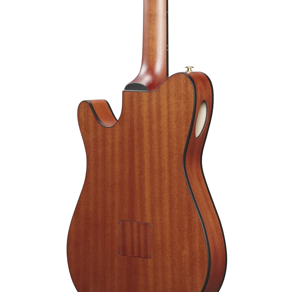 Ibanez FRH10N RGF Nylon String Guitar